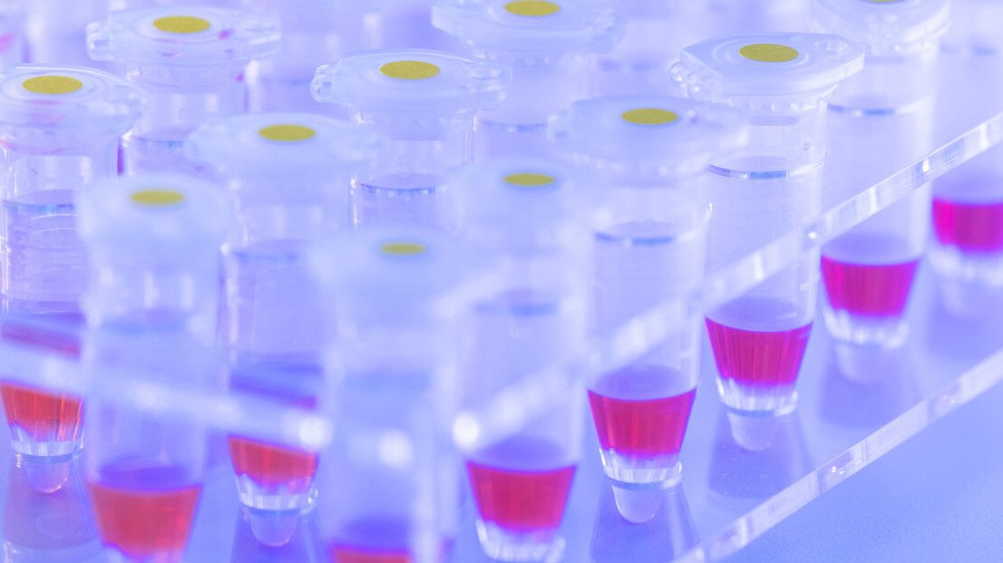 PHASiFY redefines the gold standard in next-generation diagnostics