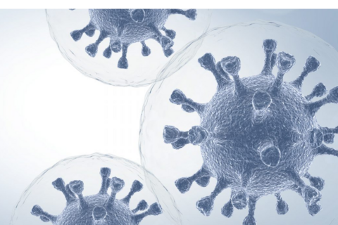 Infectious Disease